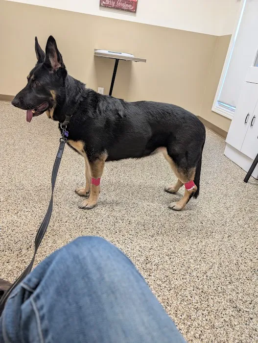 Blake Veterinary Clinic Picture 1