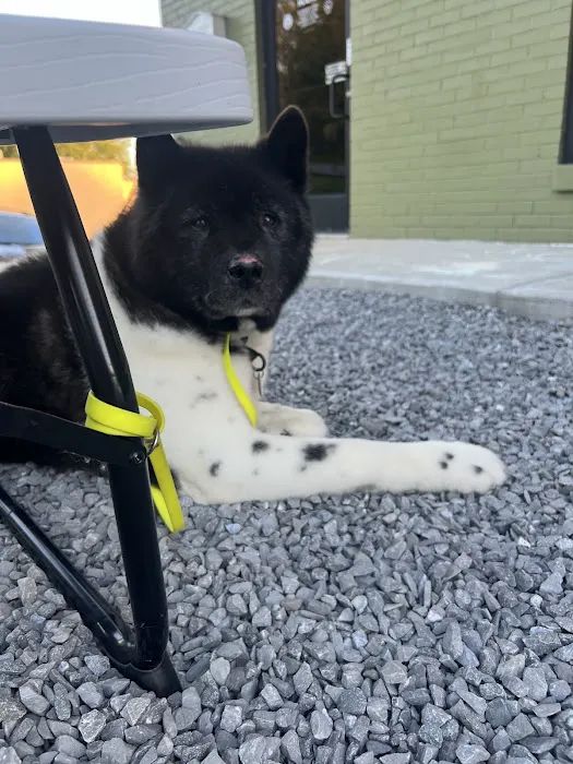 Blake Veterinary Clinic Picture 5