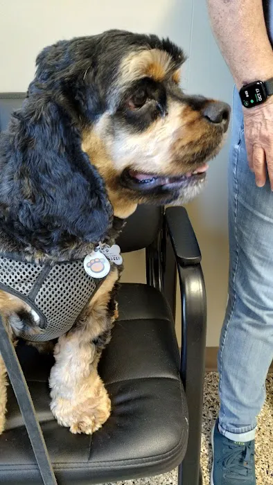 Blake Veterinary Clinic Picture 4