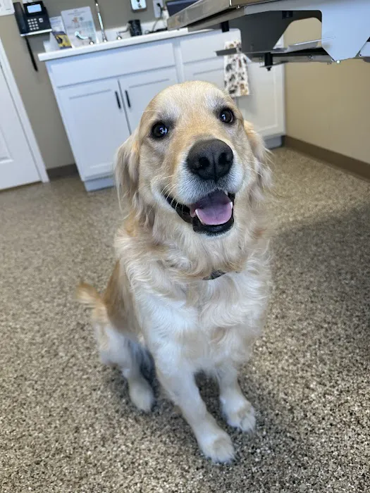 Blake Veterinary Clinic Picture 6