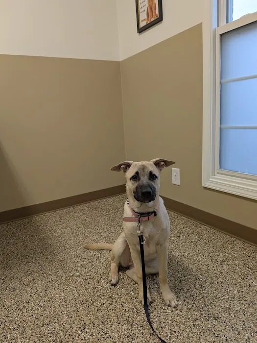 Blake Veterinary Clinic Picture 7