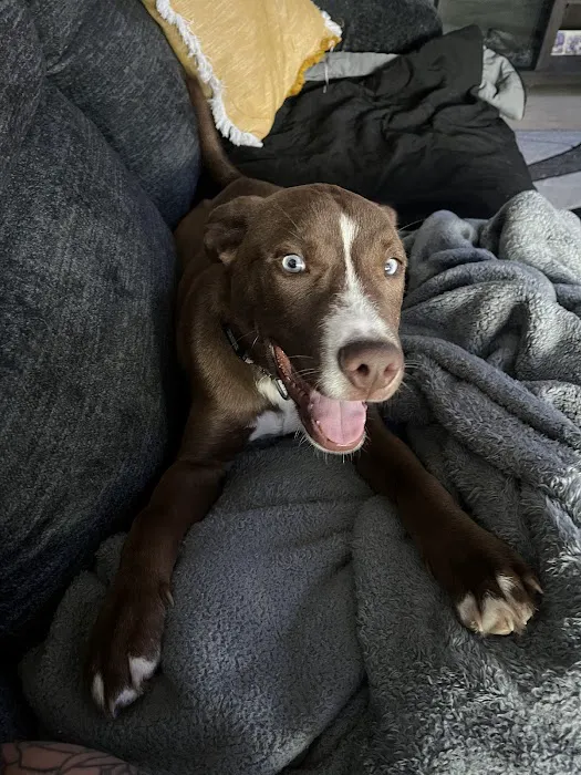 Blake Veterinary Clinic Picture 9