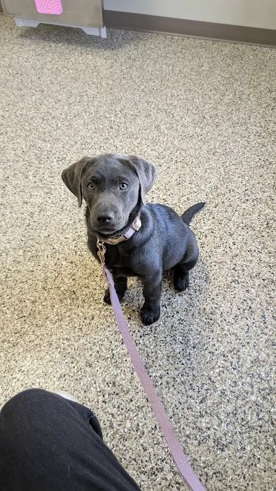 Blake Veterinary Clinic Picture 10