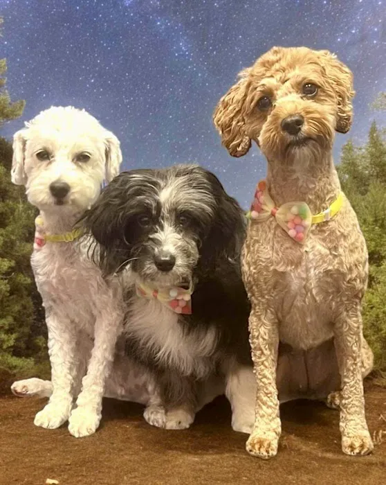 Banfield Pet Hospital Picture 2