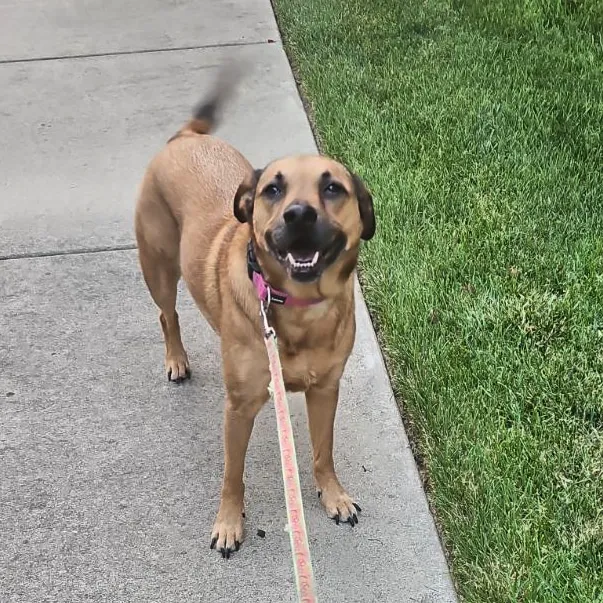 Banfield Pet Hospital Picture 7