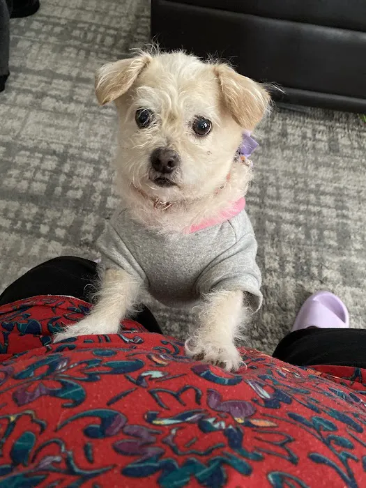 Banfield Pet Hospital Picture 9