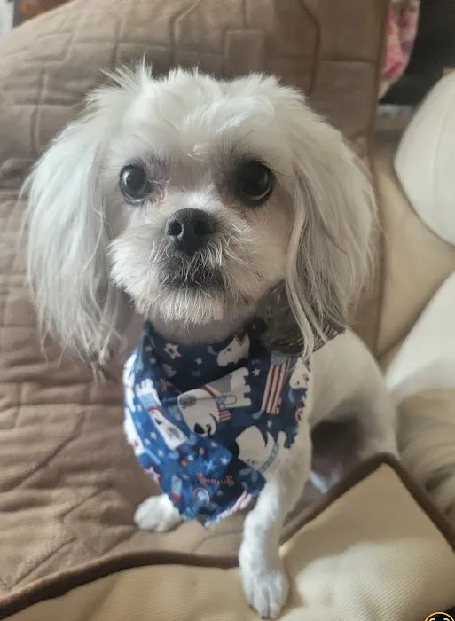 Banfield Pet Hospital Picture 8