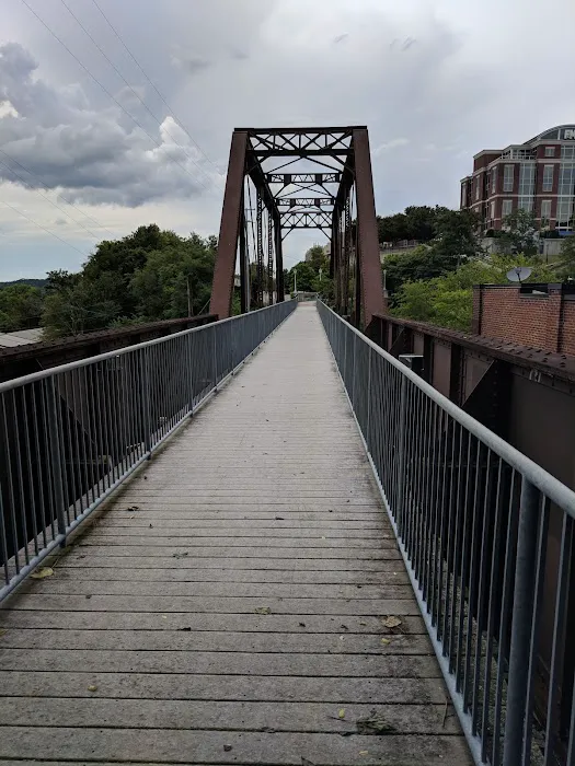 The Cats on Commerce Picture 1