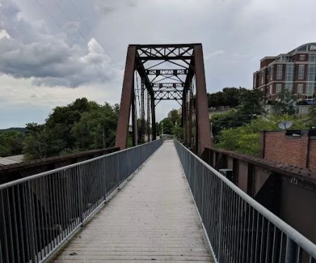 The Cats on Commerce