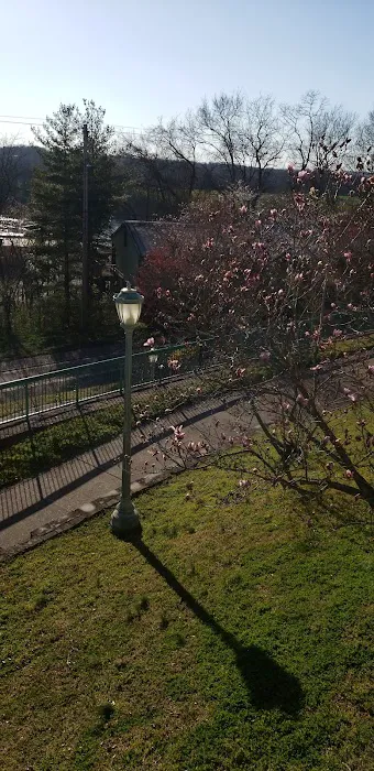 The Cats on Commerce Picture 6