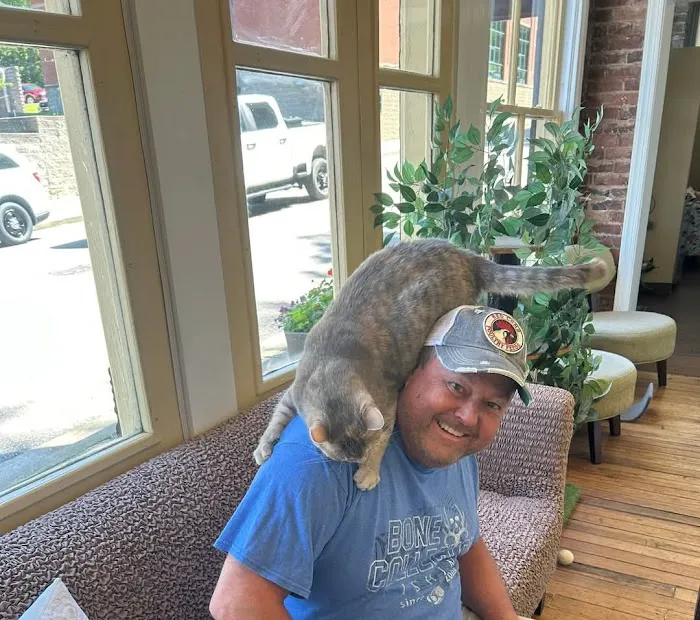 The Cats on Commerce Picture 3