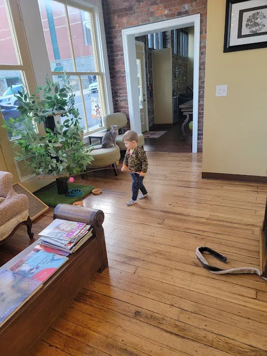 The Cats on Commerce Picture 7