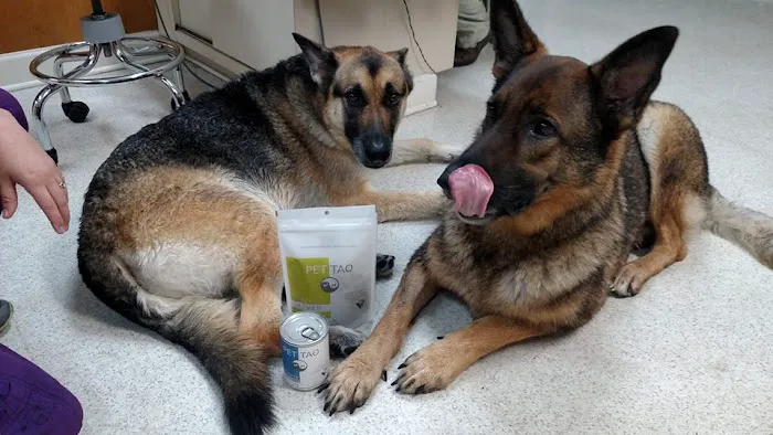 White Oak Animal Hospital - Clinic & Holistic Telemedicine Picture 9