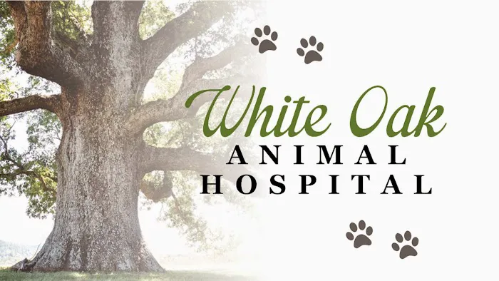 White Oak Animal Hospital - Clinic & Holistic Telemedicine Picture 8