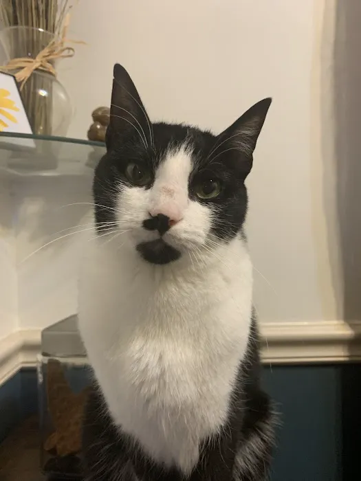 Fairview Animal Clinic Picture 1