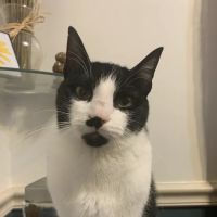 Fairview Animal Clinic ico