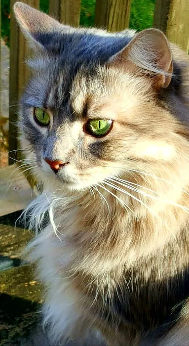 Fairview Animal Clinic Picture 2