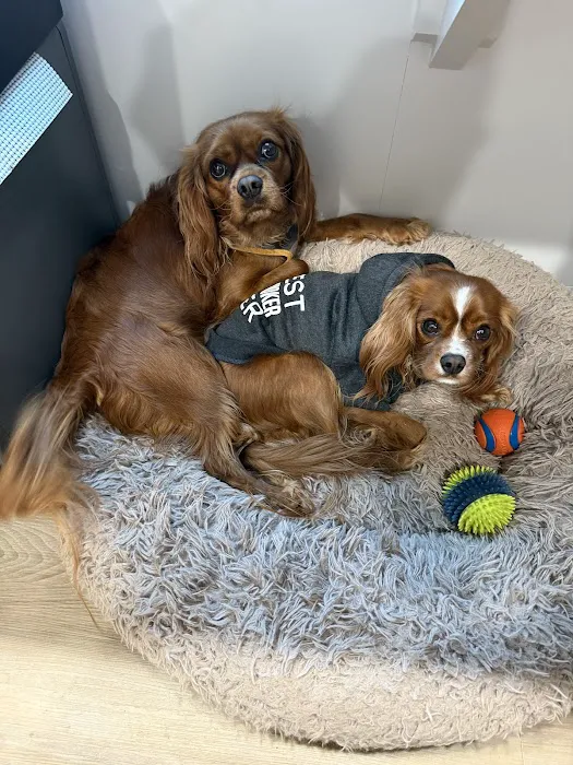 Fairview Animal Clinic Picture 4