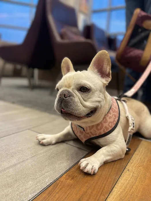 Fairview Animal Clinic Picture 5