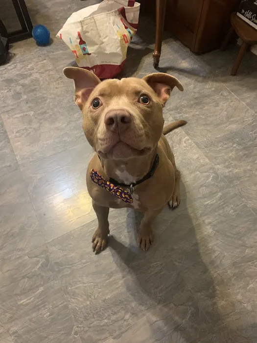 Fairview Animal Clinic Picture 6