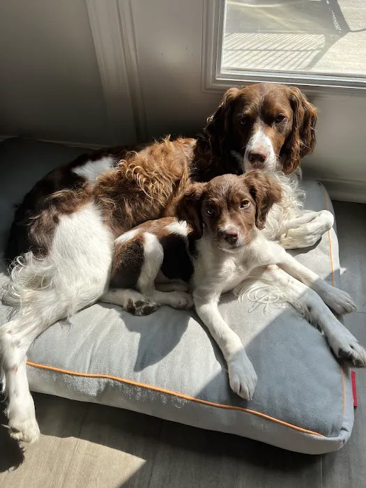 Fairview Animal Clinic Picture 8