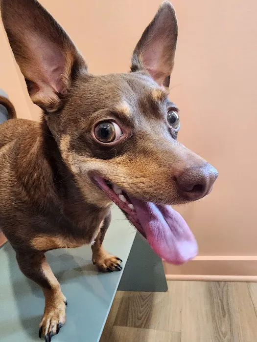 Fairview Animal Clinic Picture 10