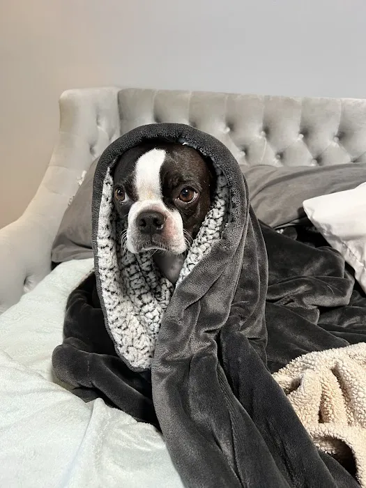 Fairview Animal Clinic Picture 9