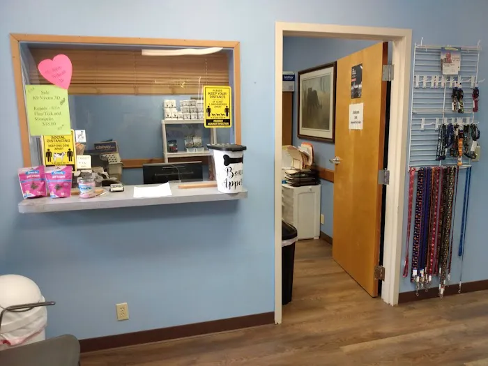 Cornerstone Animal Hospital Picture 3