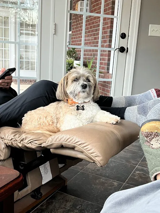 Cornerstone Animal Hospital Picture 4