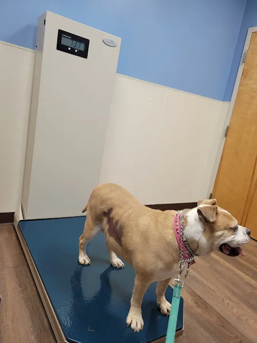 Brannan John M DVM Picture 1