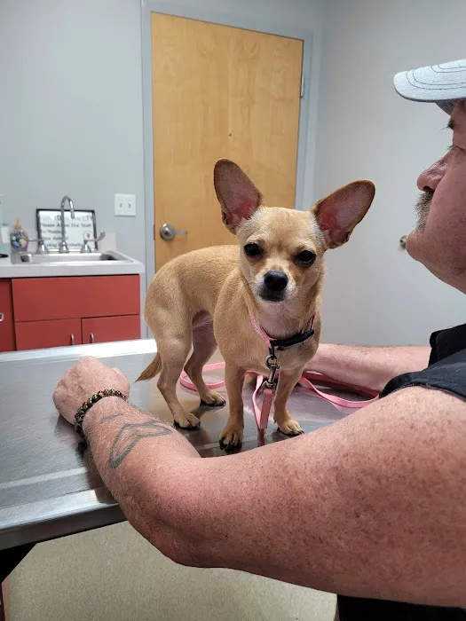 All Animals Veterinary Hospital Picture 2