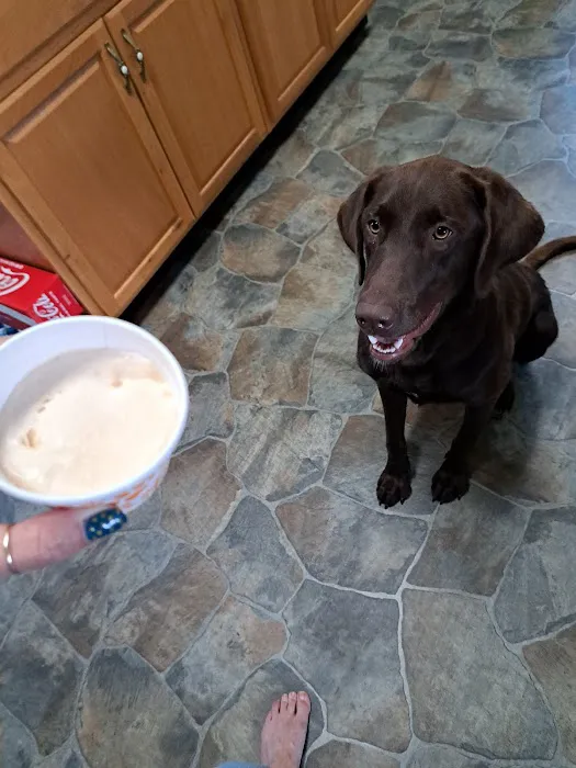 All Animals Veterinary Hospital Picture 1