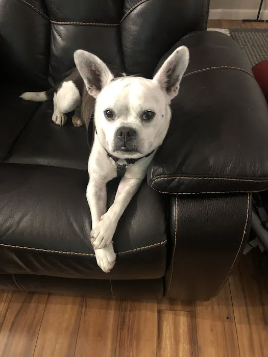 All Animals Veterinary Hospital Picture 5