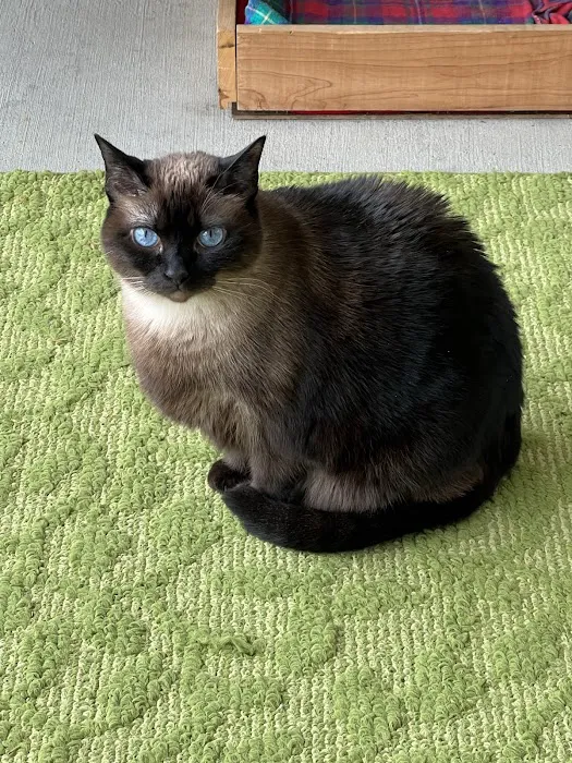 All Animals Veterinary Hospital Picture 9