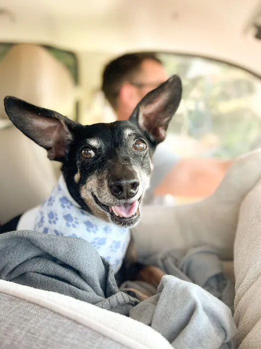 All Animals Veterinary Hospital Picture 8