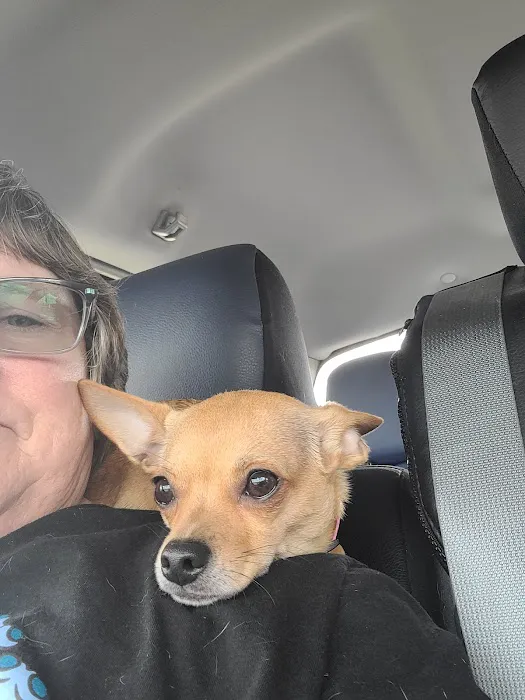 Goan Ellie DVM Picture 2