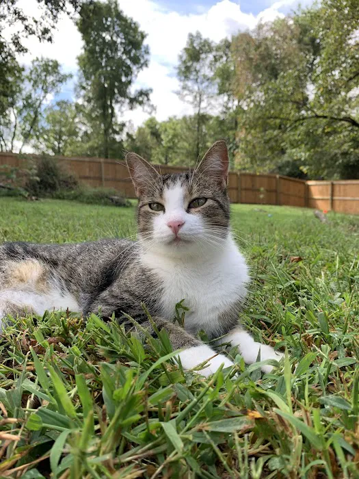 Dickson Veterinary Clinic Picture 3