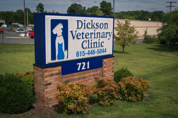 Dickson Veterinary Clinic Picture 6