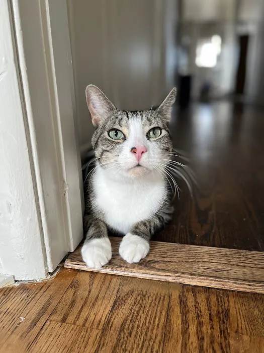 Dickson Veterinary Clinic Picture 7