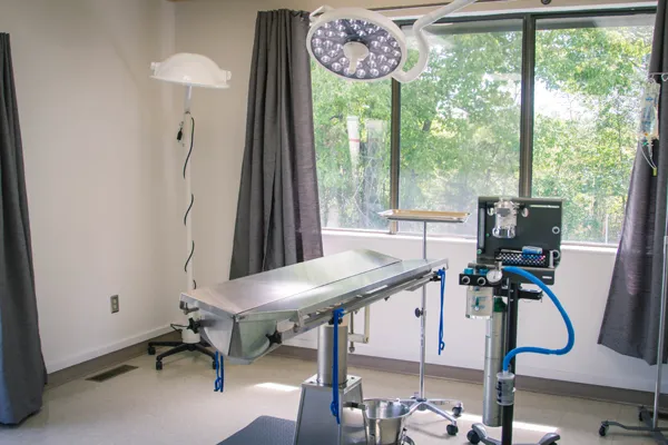 Dickson Veterinary Clinic Picture 9