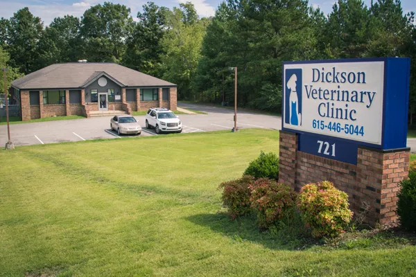 Dickson Veterinary Clinic Picture 10