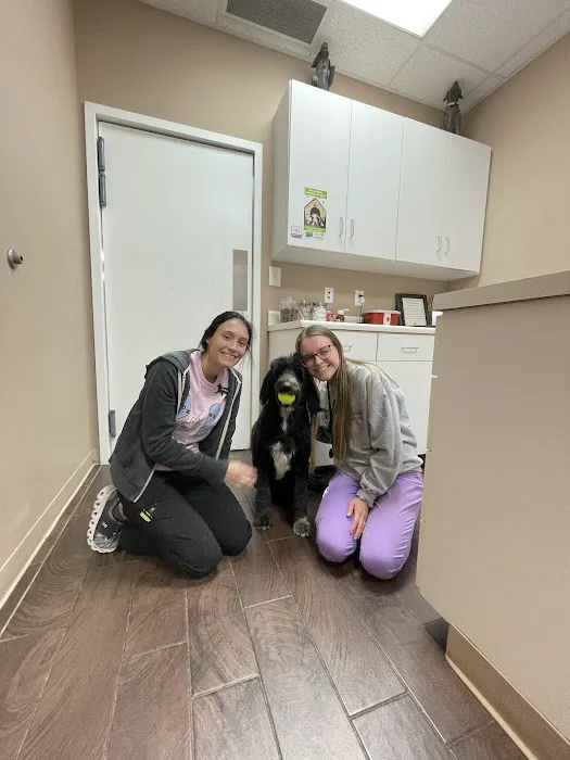 Tiny Town Animal Clinic Picture 1