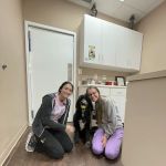 Tiny Town Animal Clinic