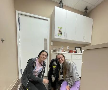 Tiny Town Animal Clinic