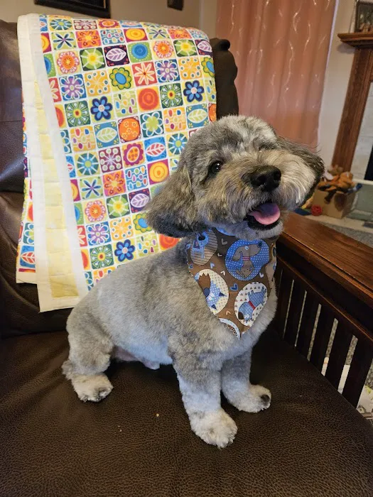 Tiny Town Animal Clinic Picture 3