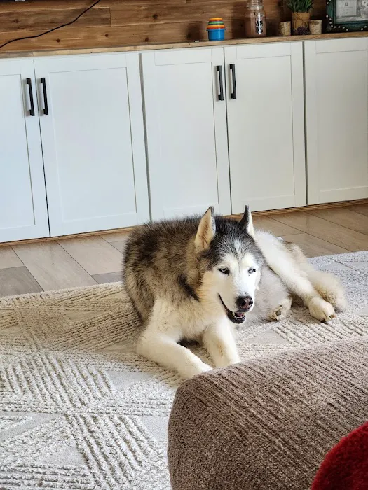 Tiny Town Animal Clinic Picture 10