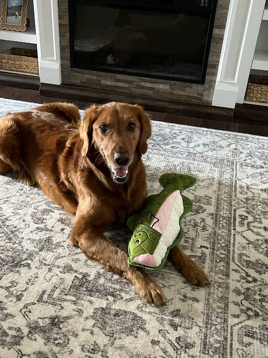 Hopkinsville Animal Clinic Picture 2