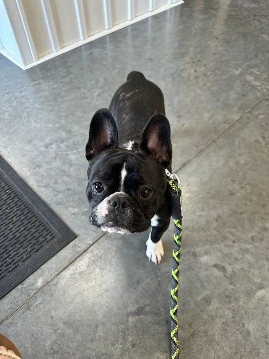 Hopkinsville Animal Clinic Picture 1