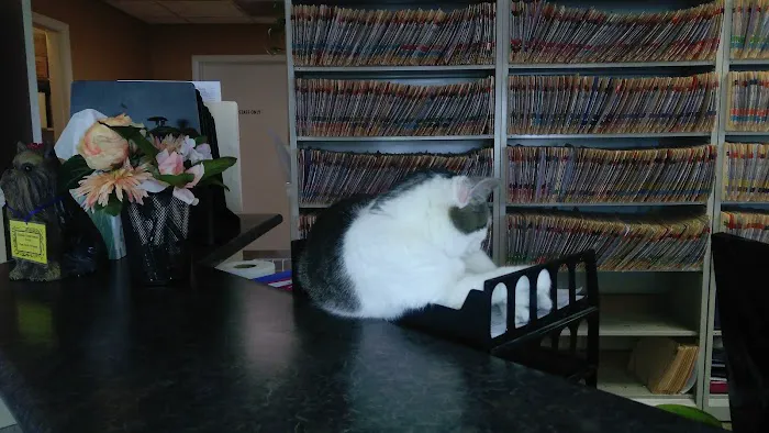 Skyline Animal Clinic Picture 2