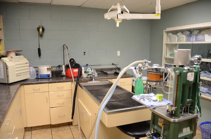 Skyline Animal Clinic Picture 5